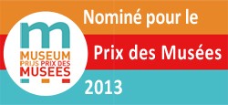 banner-nominatie-fr-2013.jpg