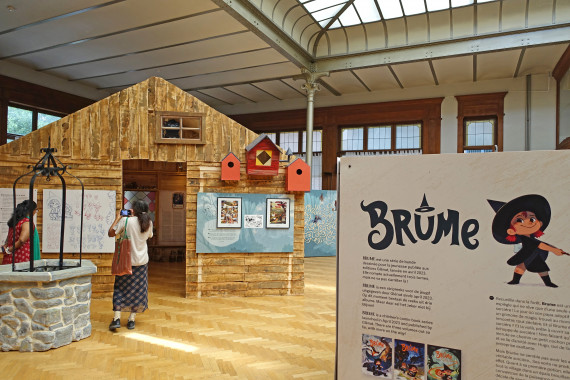 Abracada'Brume - © Daniel Fouss / Comic Art Museum test